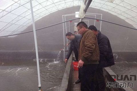 華全分享：立春時節(jié)，多寶魚養(yǎng)殖不可放松警惕